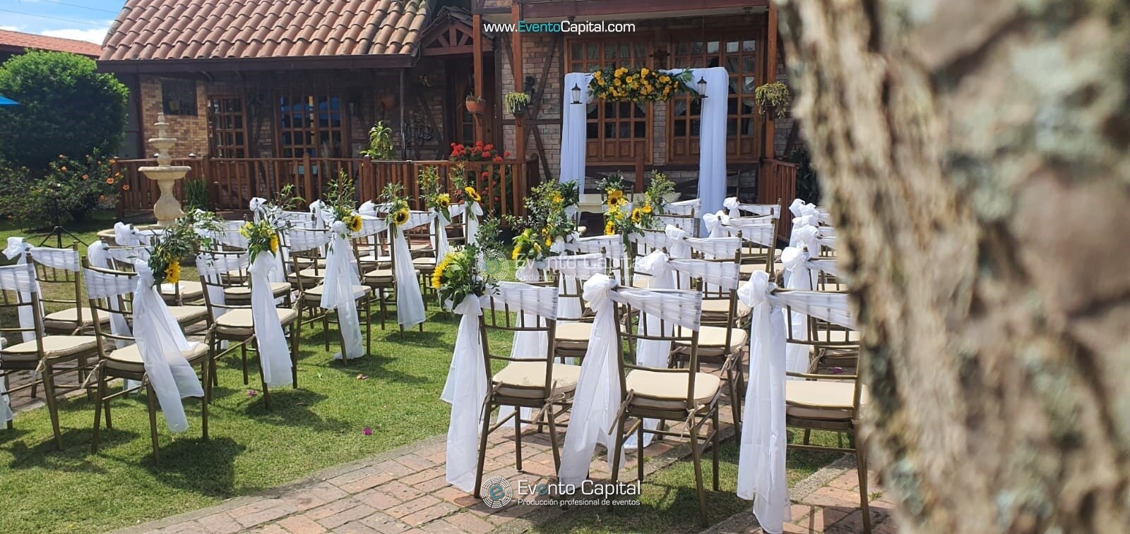Boda Campestre Amarillo Girasol Silla Tiffany Dorada Velo Muselina Exterior Decoracon Iglesia