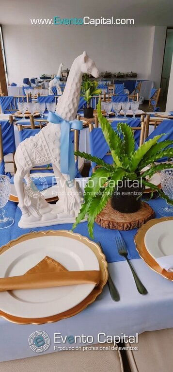 DECORACION BABY SHOWER PLATOS BASES CENTROS DE MESA CRISTALERIA (3)