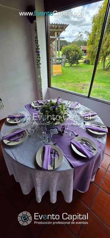 SERVILLETAS COLORES PARA EVENTOS DECORACION MESA PLATO BASE (1)