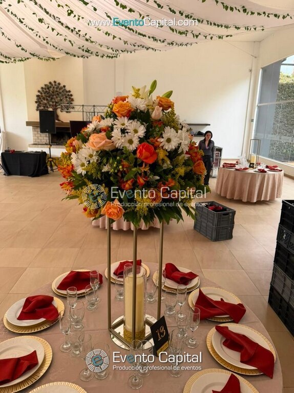 SERVILLETAS COLORES PARA EVENTOS DECORACION MESA PLATO BASE (5)