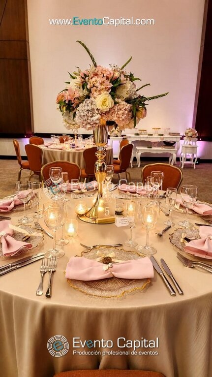SERVILLETAS COLORES PARA EVENTOS DECORACION MESA PLATO BASE (6)