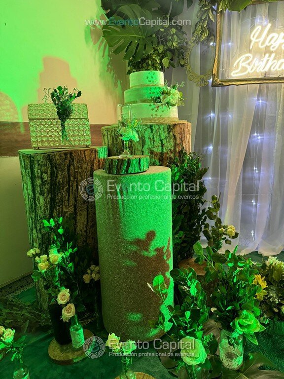 Quice Años Numeros Luminosos Manteleria Servilleta Verde Sillas Tiffany Doradas (1)